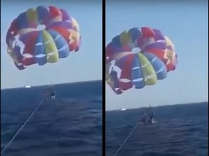 WATCH: Shocking moment shark leaps out of water to attack parasailor
