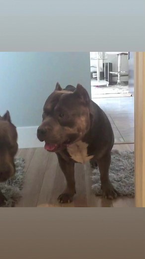 82K views · 7.1K reactions | A breakdown in communication | Team CZR | Facebook