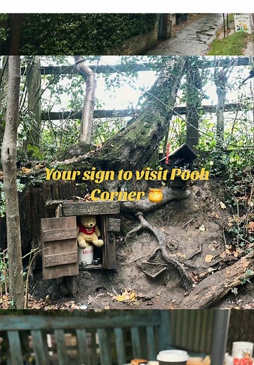 Exploring Pooh Corner: A Day Out in Hundred Acre Wood