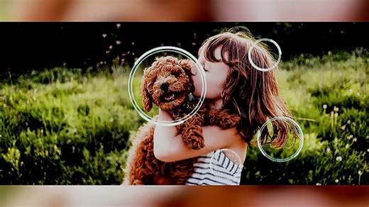 新家电视实测体验：海信55E3K画质流畅、音效出色，智能家居联动更便捷