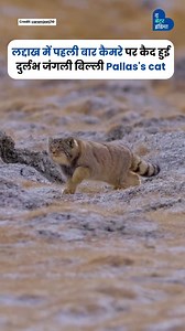 481K views · 21K reactions | लद्दाख की ऊँचाई वाले ठंडी और कठिन...