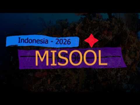 Best of Diving Misool, Indonesia -2026