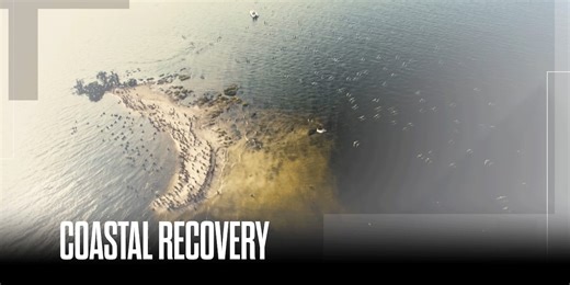 Remembering the BP spill that killed 11, devastated the coast 15 years ago