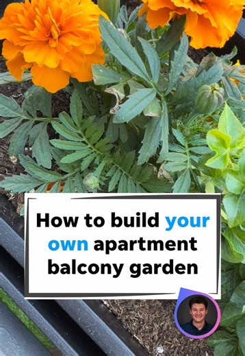 Don't let your small space stop you from becoming the gardening guru of your dreams. 🌱 This Earth Month, the USA TODAY Shopping team is spotlighting all of the different ways our team members go green within their daily lives (and homes!)—starting with producer David Hoffman, who is attempting to grow plants on his apartment balcony this spring. See how his planting journey blooms, and at the link in bio, shop top deals on editor-loved gardening essentials.