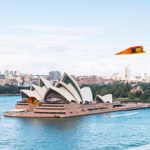 13K views · 84 reactions | There’s lots to see in Sydney! With...