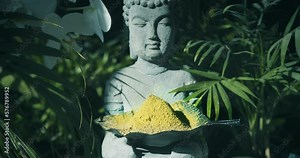 Budha holding Premium Kratom Powder Pure Green leaf Bali Indonesia