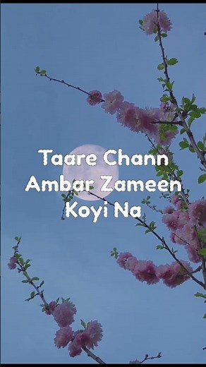 Waalian (Lyrics) | Harnoor | LyricoHub01