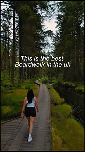 Location Details ⬇️ Think you need to travel to Canada for breathtaking nature escapes? Think again! Hidden in the heart of the UK, Hafren Forest offers the most serene boardwalk experience you'll ever find—soft winds, running water, and towering trees that feel straight out of a dream. Ready to discover this hidden gem? Tag someone you'd take here or tell us your favorite nature spot in the UK below! Parking - What3words ///trace.mostly.senders Postcode - SY18 6PT (This postcode covers a large 