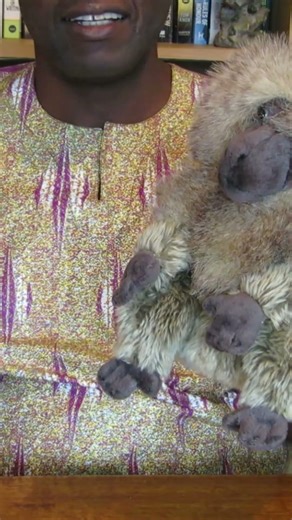 Tsuro naGudo Ngano with Puppets