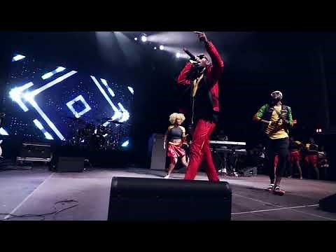 Eddy Kenzo Live at One Africa Music Fest Newyork 2019