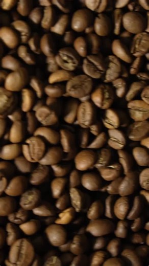 A coffee leap towards sustainability for both people and nature. #DimelloThreeContinents #OriginStories #TheSpecialtyQuest #dimellocoffee | Dimello Coffee