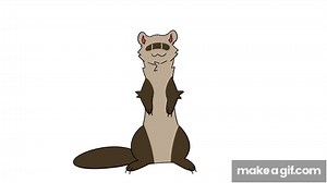 Dancing ferret animation //meme// thank you 70k  on Make a GIF