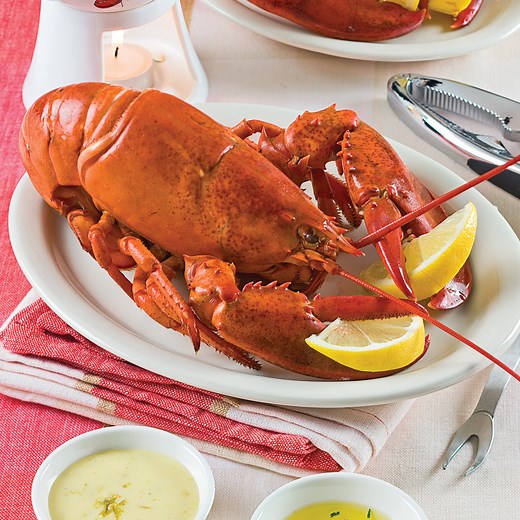 Comment cuire le homard