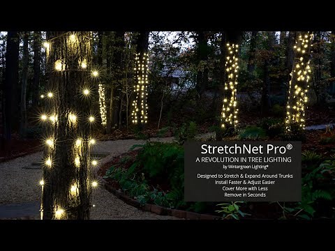 Wrapping Trees with Christmas Lights: String Lights VS Trunk Wrap VS StretchNet Pro®