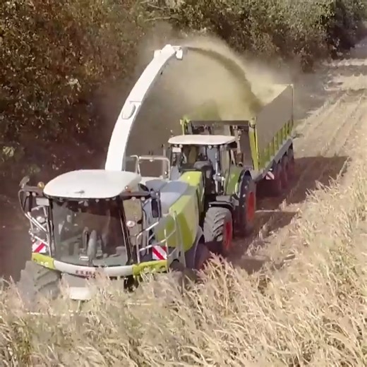 2.5K views · 103 reactions | A harvester that knows exactly where to...