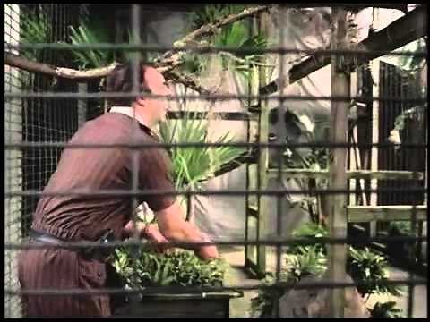 Zoo Tycoon 2 PC Commercial Trailer 2004 Microsoft