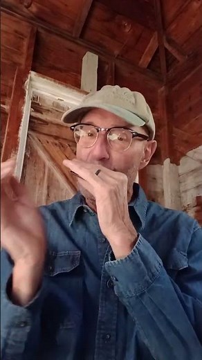 Harmonica Bluegrass Lick #2. Ear train this lick #harmonica #bluegrass #countrymusic