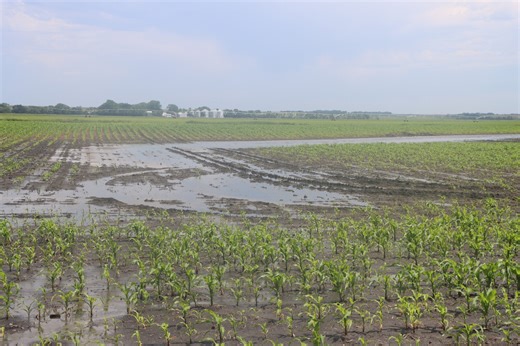 USDA now accepting applications for weather-related ag disaster assistance