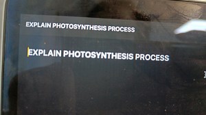 EXPLAIN PHOTOSYNTHESIS PROCESSEXPLAIN PHOTOSYNTHESIS PROCESS... | Filo