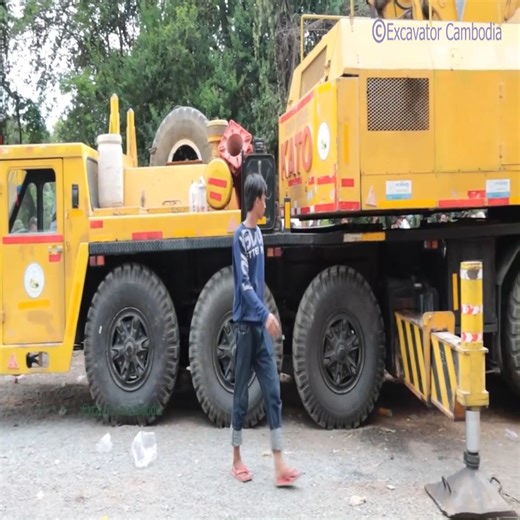 7.7K views · 34 reactions | Impressive excavator and double crane use his power recovery big tree sink deep water successfully | Machines Satisfying | Facebook