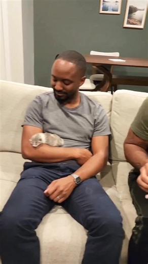 168K views · 5.5K reactions | The kittens got a quick socializing session with some friends while Trixie got some one-on-one attention and a much deserved break! They settled down after some initial squeals of protest  | Fostering kittens | Facebook