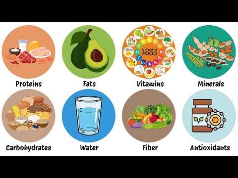 Every Essential Nutrient Your Body Needs Explained In 10 Minutes