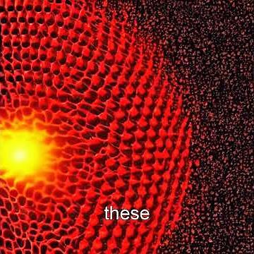 Revolutionizing Cancer Treatment: AI Micro-Robot Swarms Inside Your Body