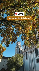 🔴LIVE: Autumn is arriving in Salzburg!🍁 The temperatures are getting colder, while the city is getting more and more colourful.🍂 ☀️ Enjoy the sun rays and the golden magic of autumn! #salzburg #visitsalzburg #autumn #sunny #fallvibes | Salzburg.info