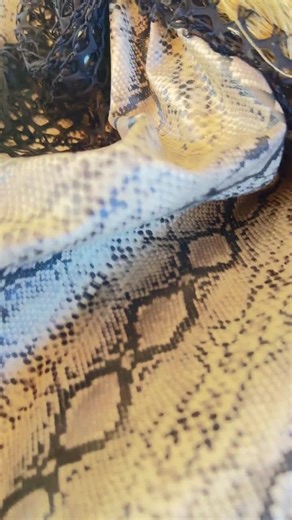 Beautiful Old Witch, Green Face Witch Posable Shelf Sitter Halloween Decor Collectible 28" Tall Excellent - Etsy