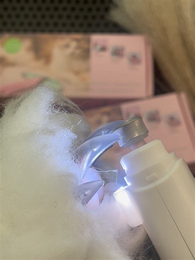 No More Grooming Fears: LED Light for Dog Nail Care