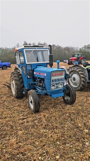 Trio of Ford 3000 Tractors at the Ploughing Match