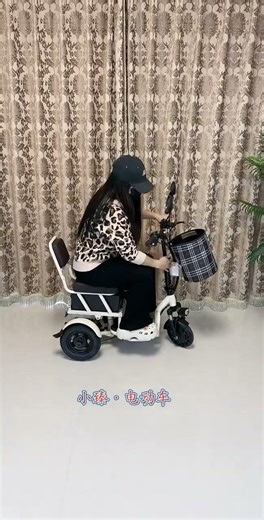 Elderly Mobility Scooter #New Mini Electric Tricycle.