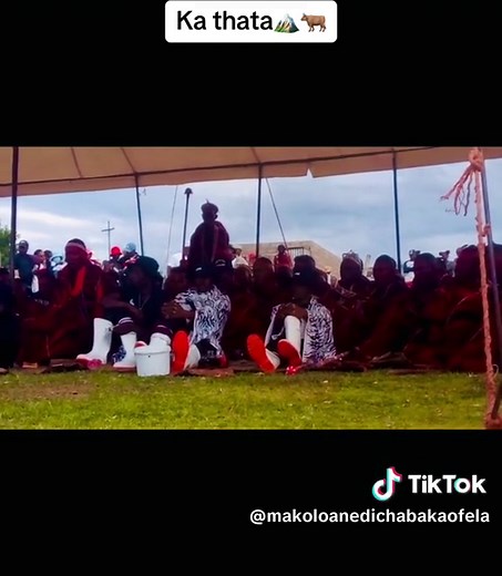 #lebollokemoetlo❤❤❤ #SAMA28 #lebollo #moetlowabasotho #lesothotiktok🇱🇸🇱🇸🇱🇸 #lesotho #makoloane #makoloane_a_lesotho #makoloane