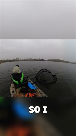 Snowfall Fly Fishing… and a Surprise Tiger Trout Cameo ❄️🐅🎣