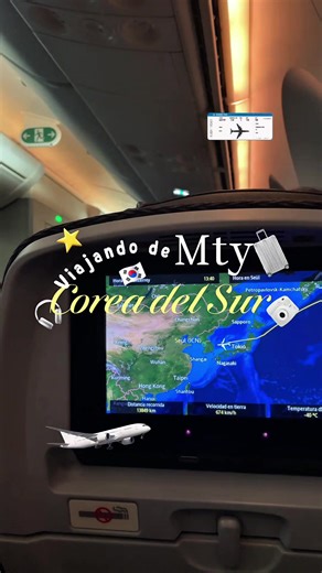 Sobreviviendo a un vuelo de 16 hrs para llegar a Corea del Sur🙂‍↕️✈️🇰🇷#viaje #coreadelsur #seul #corea #aeromexico