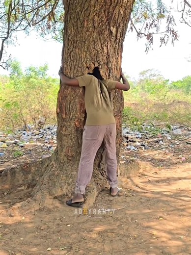 Mastering Tree Entry Techniques