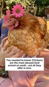 13K views · 1K reactions | "I only eat chicken" - as if the most...