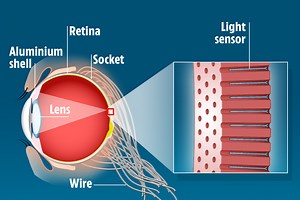 Bionic eye gives you night vision and has 46x more 'cells' than human eyeball