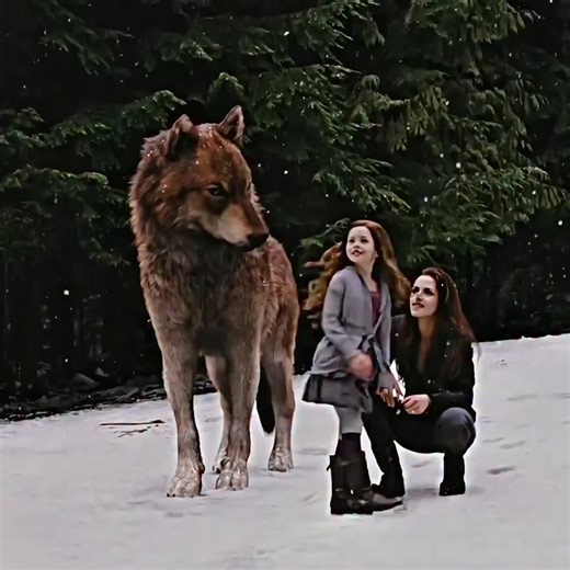 Stay strong🖤🐺 #wolves #foryou #rebelwolf #thetwilightsaga #movieclips