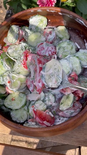 Creamy Cucumber Tomato Salad Recipe