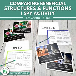 Comparing Structures and Functions I Spy Adaptations Activity | STAAR Aligned