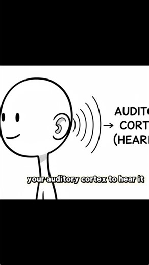 The psychological truth behind those who talk to themselves out loud p2