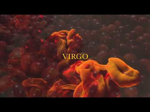 VIRGO - 10 minute ASMR meditation and relaxation. (not by AI).