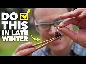 Garden Checklist: 10 Tasks to Give Your Garden a Head Start Before Spring