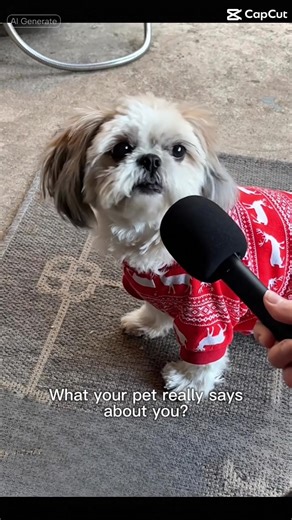 Understanding Your Dog's Opinions and Behaviors