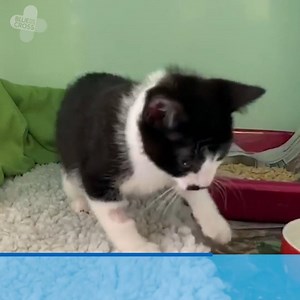 7K views · 186 reactions | Our vets and nurses are still working...