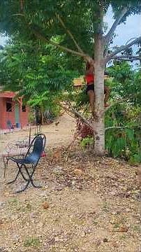 How some vegans are digesting raw meat #happy #life #love