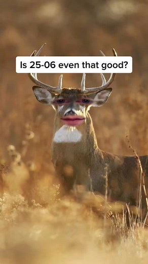 Exploring the History and Benefits of the 25-06 Cartridge