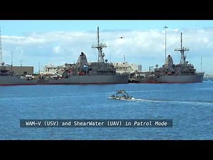 WAM-V Multi-domain (Air, Sea and Subsea) Autonomous Maritime System