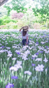 ブルー＆ホワイトガーデン